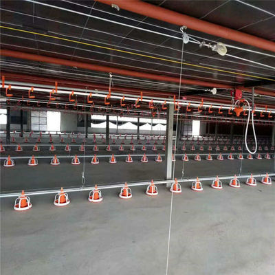 AC110V 220V Automatic Poultry Feeder System Auto Chicken Feeder