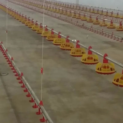 Floor Automatic Broiler Feeding System Pan Feeder Nipple System In Poultry