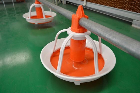 Chicken Farm Accessories Poultry Feeding Pan Quail Farming Equipment