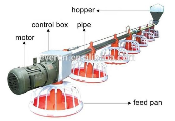 Stainless Broiler Pan Feeding System Poultry Feed Distribution System