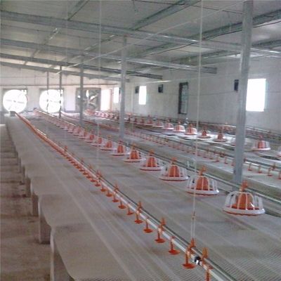 Stainless Broiler Pan Feeding System Poultry Feed Distribution System
