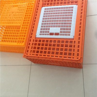 Broiler Poultry Carrier Crate Farming Plastic Agricultural Crates