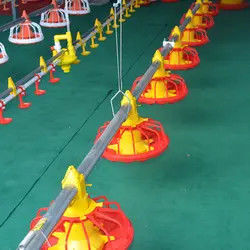 Customized 110V Pan Feeding System For Broiler Chicken Pan Feeder