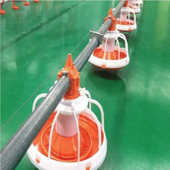 Automatic Feeding System For Poultry Chicken Feeding Line 10 Liters Capacity