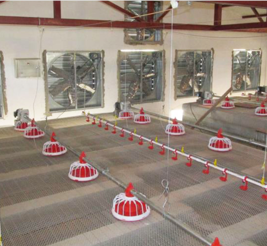 W pełni automatyczny podajnik ślimakowy do karmienia drobiu Podajnik ślimakowy do gospodarstwa 1