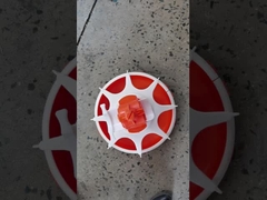 Automatyczna maszyna do karmienia drobiu, prosta linia karmienia, pełny zestaw urządzeń do karmienia