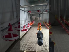 Automatyczny tryb kontroli wody w smoczku wodnym Linia nawadniania ptaków