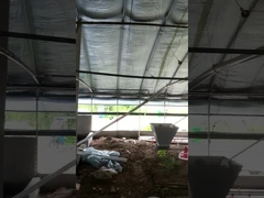 Dostosowane automatyczne urządzenie do karmienia kurczaków Regulowane napięcie